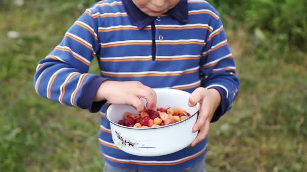 Хлопчик їсть свіжі ягоди — стокове відео