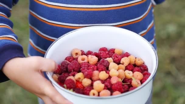 Menino comendo frutas frescas — Vídeo de Stock