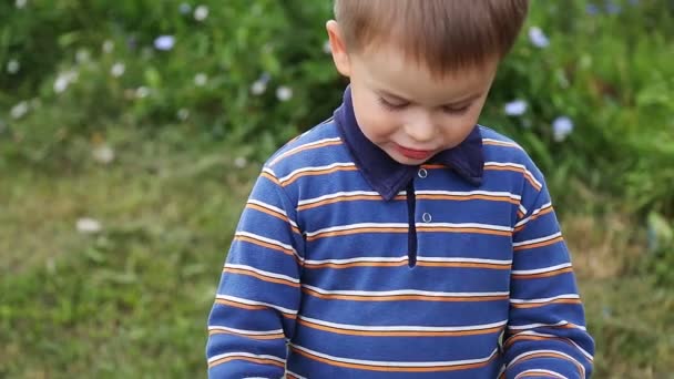 Хлопчик їсть свіжі ягоди — стокове відео
