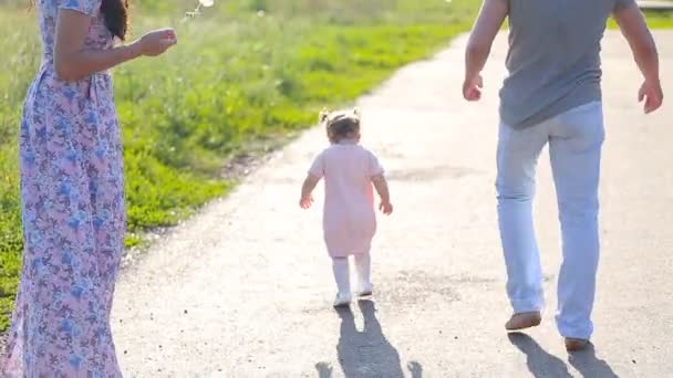 Mãe bonita e bebê ao ar livre. Natureza . — Vídeo de Stock