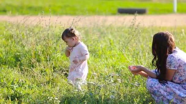 Hermosa madre y bebé al aire libre. Naturaleza . — Vídeos de Stock