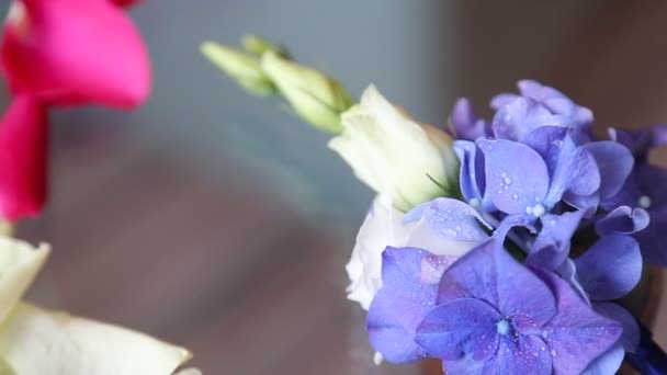 Бутоньерный цветок — стоковое видео