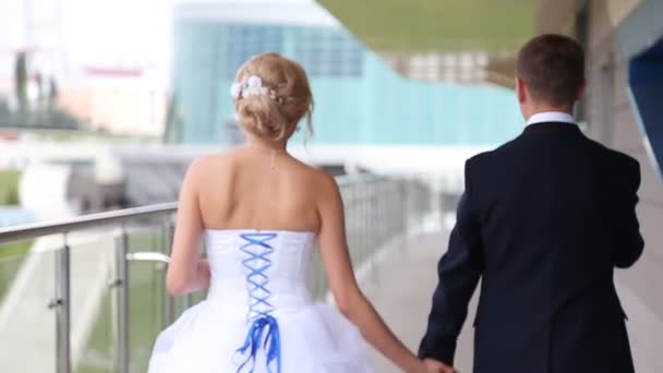 Wedding couple walking — Stock Video