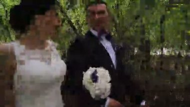 Gelin ve damat uzak yaz Park'ta yürüyordunuz