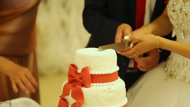 Découpe gâteau de mariage — Video