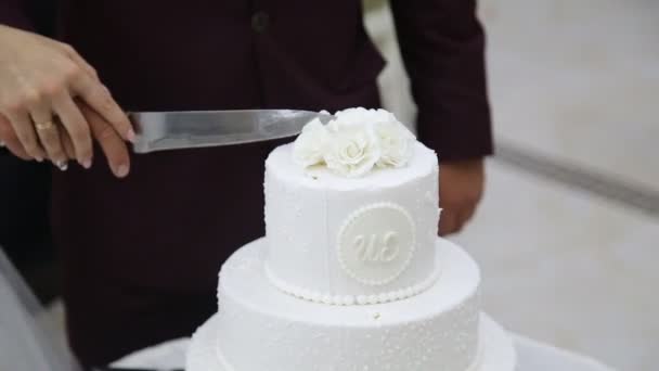 Corte de bolo de casamento — Vídeo de Stock