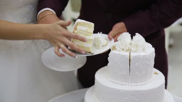 Anschneiden der Hochzeitstorte — Stockvideo