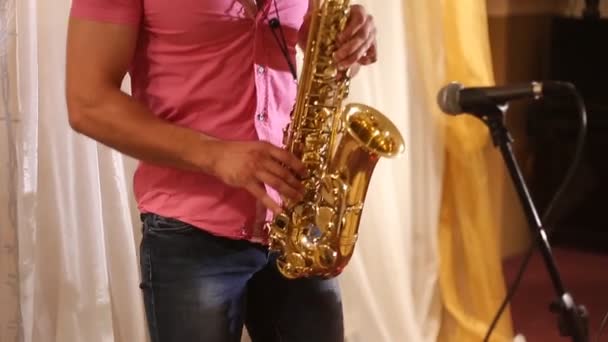 Een saxofonist. — Stockvideo