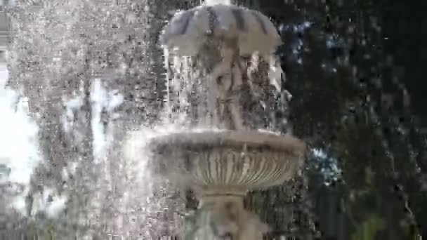 Fontaine en plein soleil — Video