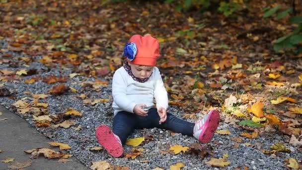 Alegre niña sonriente entre hojas de arce de otoño — Vídeos de Stock