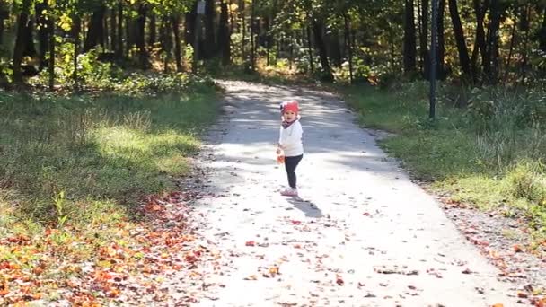 Beautiful little girl throws up yellow autumn leaves in the park — Stock Video