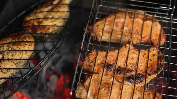 Meat on the grill with flames closeup — Stock Video