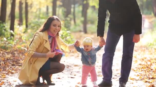 Ευτυχισμένη οικογένεια σε περίπατο στο πάρκο το φθινόπωρο — Αρχείο Βίντεο