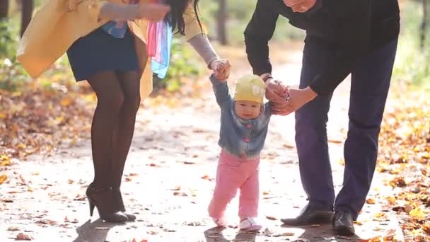 Família feliz em passeio no parque no outono — Vídeo de Stock