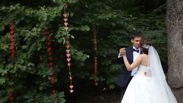 Belle marche mariée et marié dans la forêt de printemps — Video