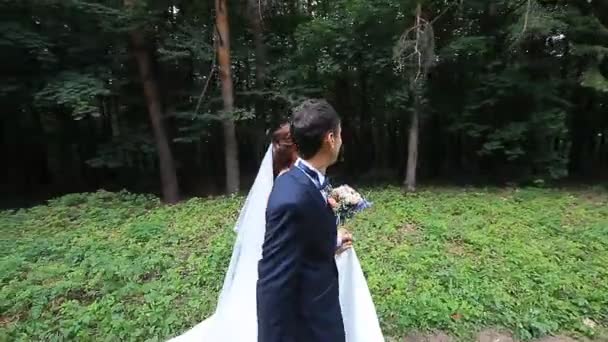 Hermoso paseo novia y novio en el bosque de primavera — Vídeo de stock