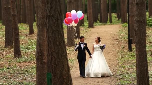 Paar van bruid en bruidegom lopen — Stockvideo