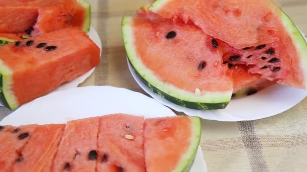 Plakken watermeloen — Stockvideo