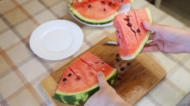 Scheiben Wassermelone — Stockvideo