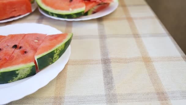 Scheiben Wassermelone — Stockvideo