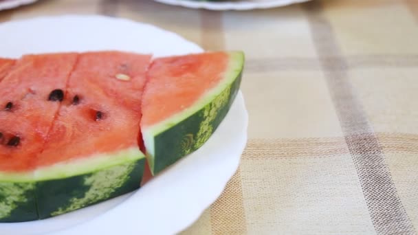 Scheiben Wassermelone — Stockvideo