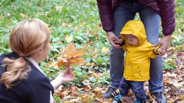 Caminando en familia por el camino del otoño — Vídeo de stock