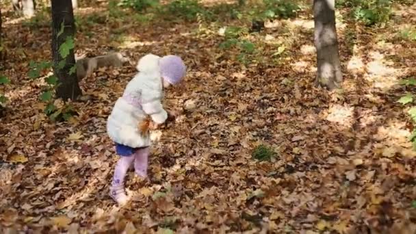 Madre e hija jugando juntas en el parque de otoño — Vídeos de Stock