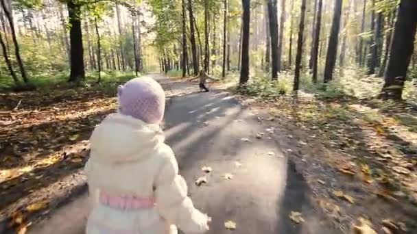 Moeder en kind wandelen in het park — Stockvideo
