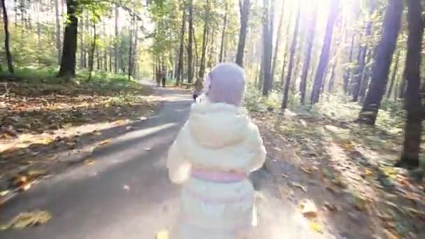 Moeder en kind wandelen in het park — Stockvideo