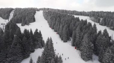 Sırbistan 'daki Kopaonik kayak merkezinin panoraması. Kopaonik Ulusal Parkı, dağlarda kış manzarası, karla kaplı kozalaklı orman