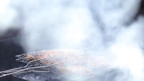 Chiken meat on barbeque grill — Stock Video