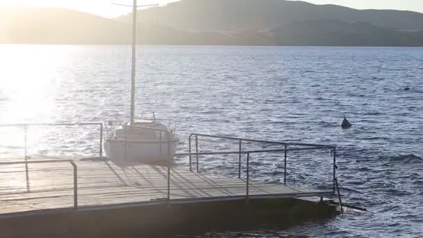 Segelbåtar i lugn hamn — Stockvideo