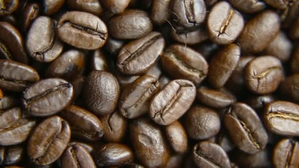 Kahve çekirdekleri döndürme — Stok video