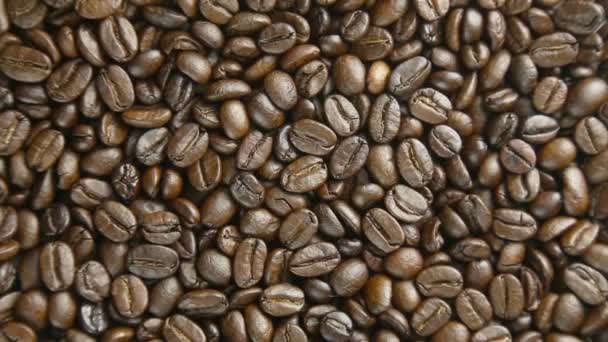 Кава в зернах повернути — стокове відео