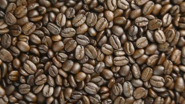 Coffee beans rotate — Stock Video