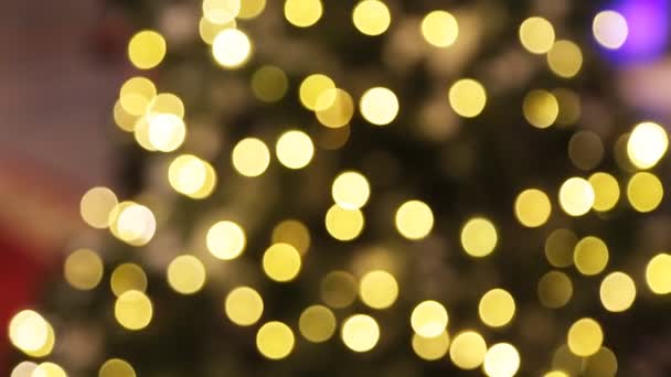 Karácsonyfa izzó fények — Stock videók
