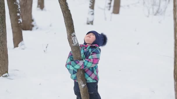 Kleines Mädchen spielt mit Schnee — Stockvideo