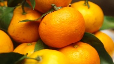 Dönen taze mandalina