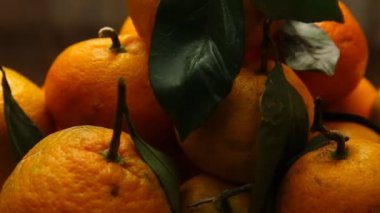 yaprakları taze mandalina