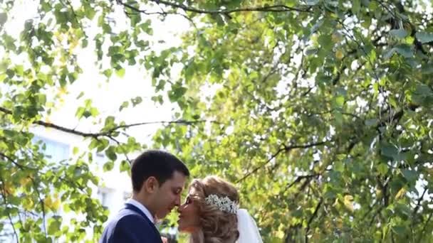 Joyeux couple de mariage embrassant — Video