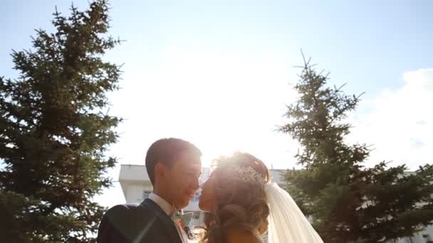 幸福的新婚夫妇拥抱 — 图库视频影像