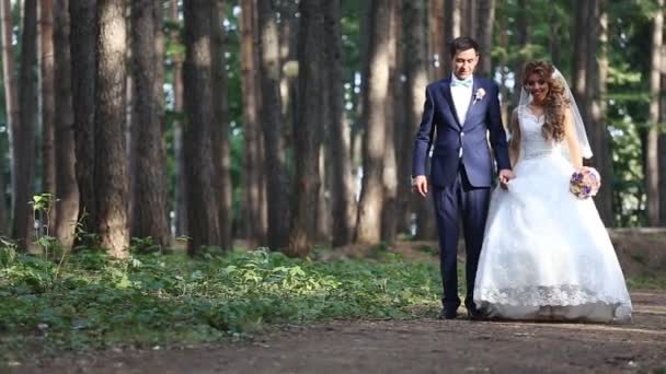 Boldog esküvői pár átfogó — Stock videók