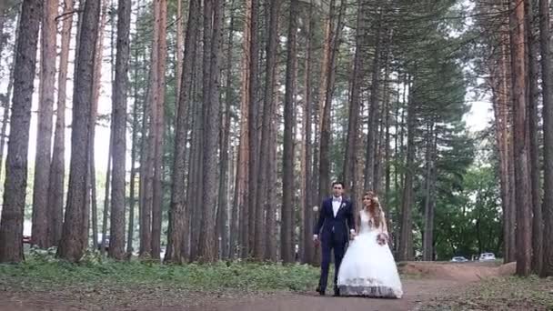 幸せな結婚式のカップルを受け入れる — ストック動画