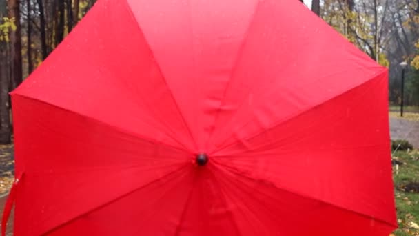 Casamento casal segurando guarda-chuva vermelho — Vídeo de Stock