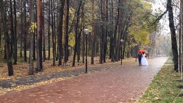 Pareja de boda sosteniendo paraguas rojo — Vídeo de stock