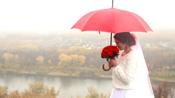 Pareja de boda sosteniendo paraguas rojo — Vídeo de stock