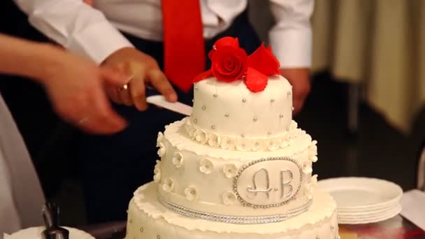 Bolo de casamento multi nível branco — Vídeo de Stock