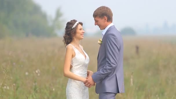 Hermosa pareja de boda está caminando en el campo verde — Vídeos de Stock