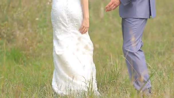 Hermosa pareja de boda está caminando en el campo verde — Vídeos de Stock