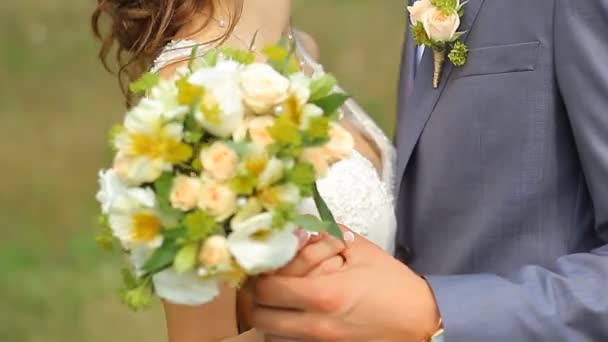 Schönes Hochzeitspaar spaziert auf der grünen Wiese — Stockvideo